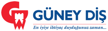 Güneydis